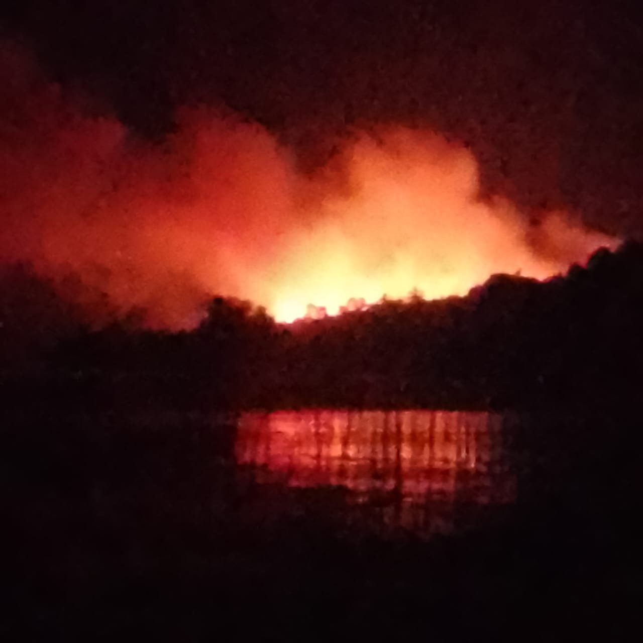 Oknum Pengusaha Diduga Bakar Lahan untuk Perkebunan di Pulau Penyangga Batam: Ancaman Hukum dan Dampak Lingkungan