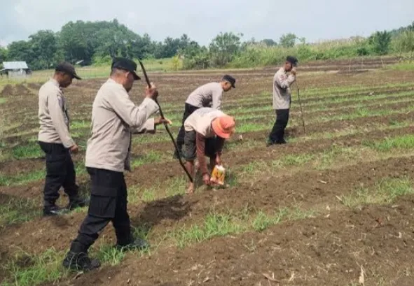 "Keroyok Bareng Rame-Rame": Rahasia Polda Jabar Tanam Ribuan Hektar Jagung Menuju Swasembada Pangan