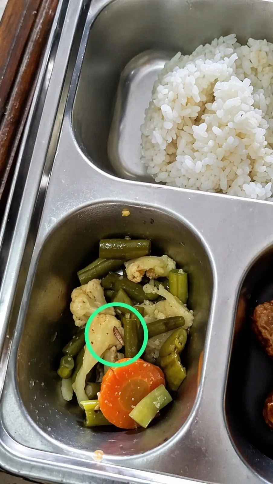 Belatung Menyerbu Makanan MBG di SDN Cijakan 2 Bojong -Banten.