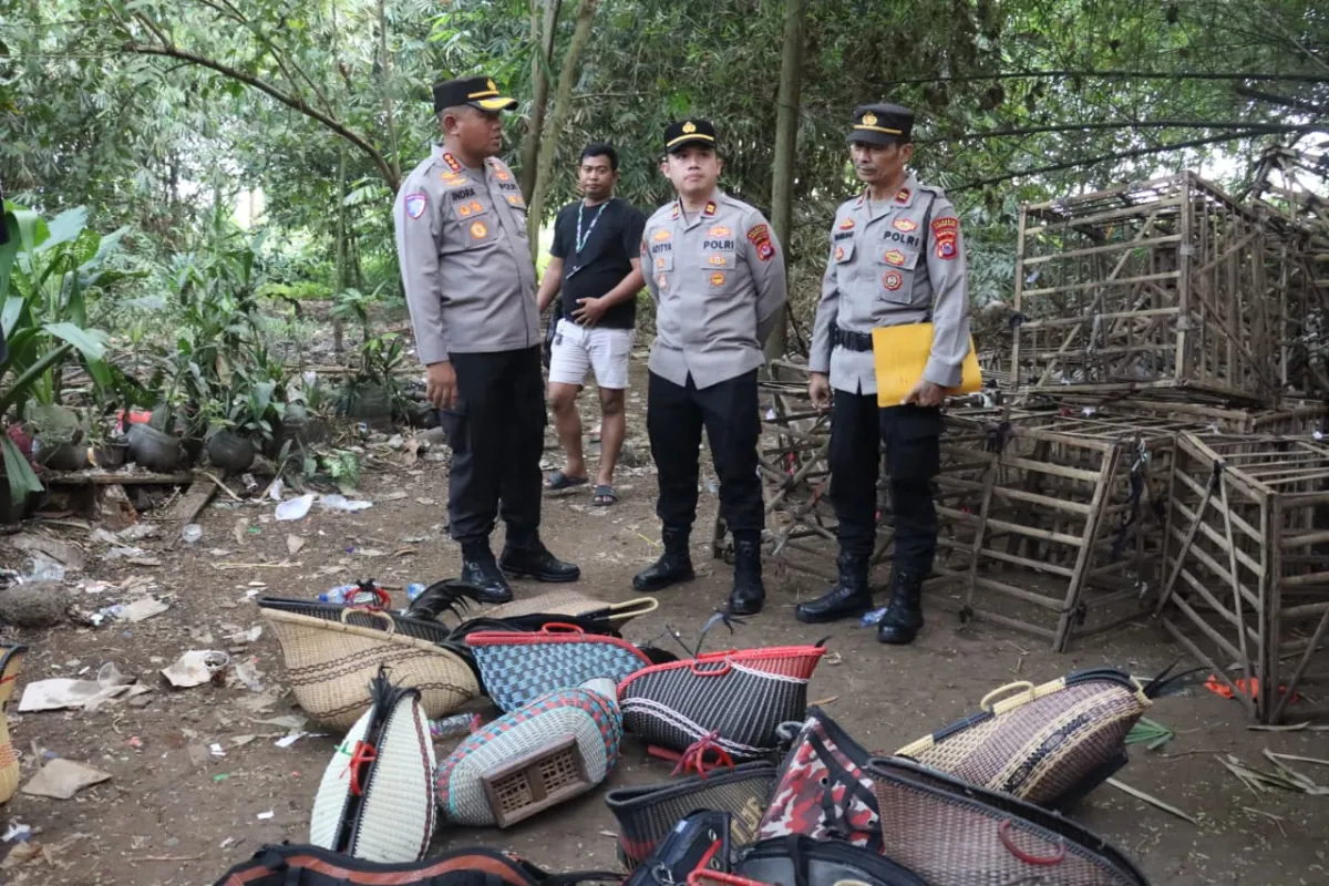 Polresta Tangerang Gerebek Judi Sabung Ayam di Desa Pabuaran Jayanti, 2 Orang Diamankan dan 28 Motor Disita