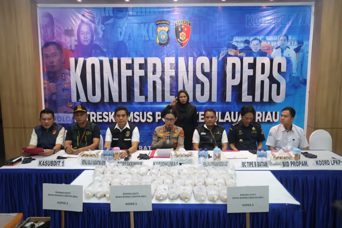 100 Ribu Baby Lobster Diselundupkan dari Jakarta via Batam, Dua Pelaku Ditangkap