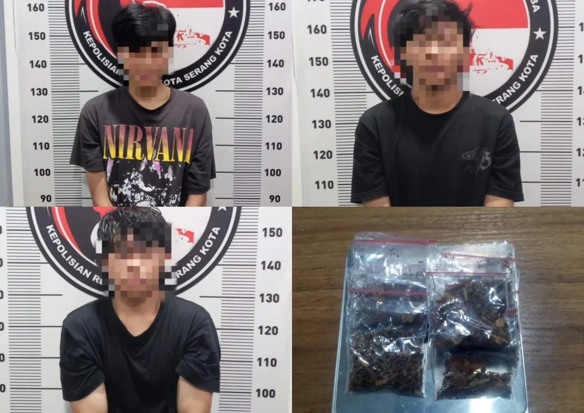 Polisi Banten Ringkus Tiga Pemuda Pengedar Tembakau Sintetis, Amankan 124 Gram dan Alat Produksi