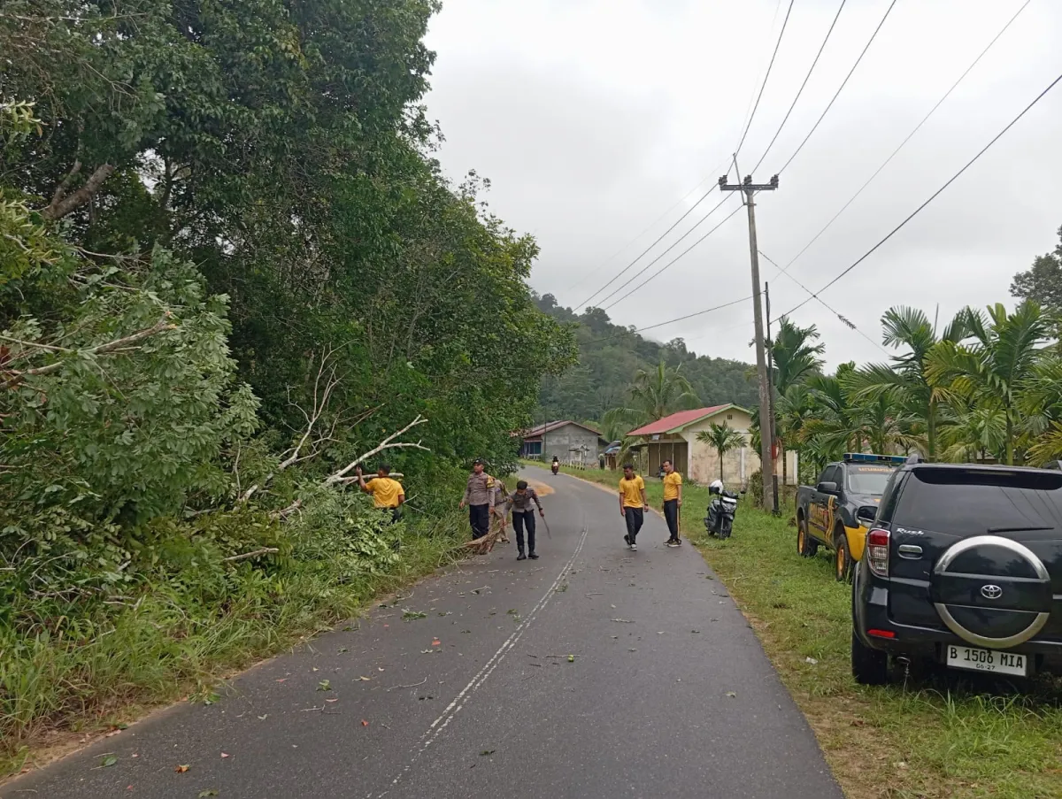 Gerak Cepat Polsek Singkep Barat Evakuasi Pohon Tumbang, Akses Jalan Desa Sungai Raya - Marok Tua Kembali Normal