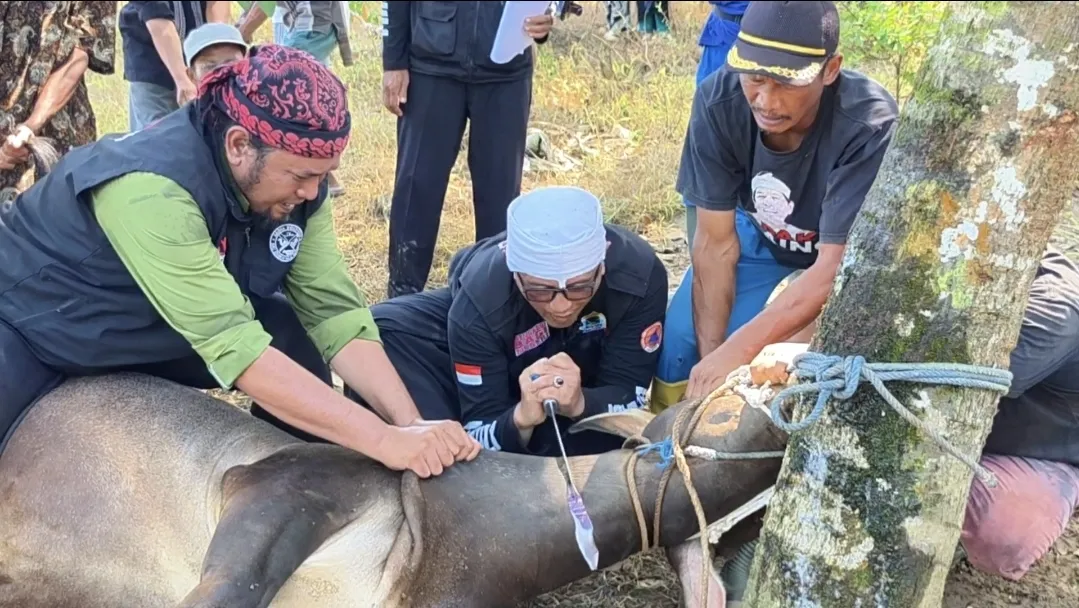 Tebar Kurban untuk Penyintas Bencana, Yayasan Mengetuk Pintu Langit Hadir di Desa Idaman