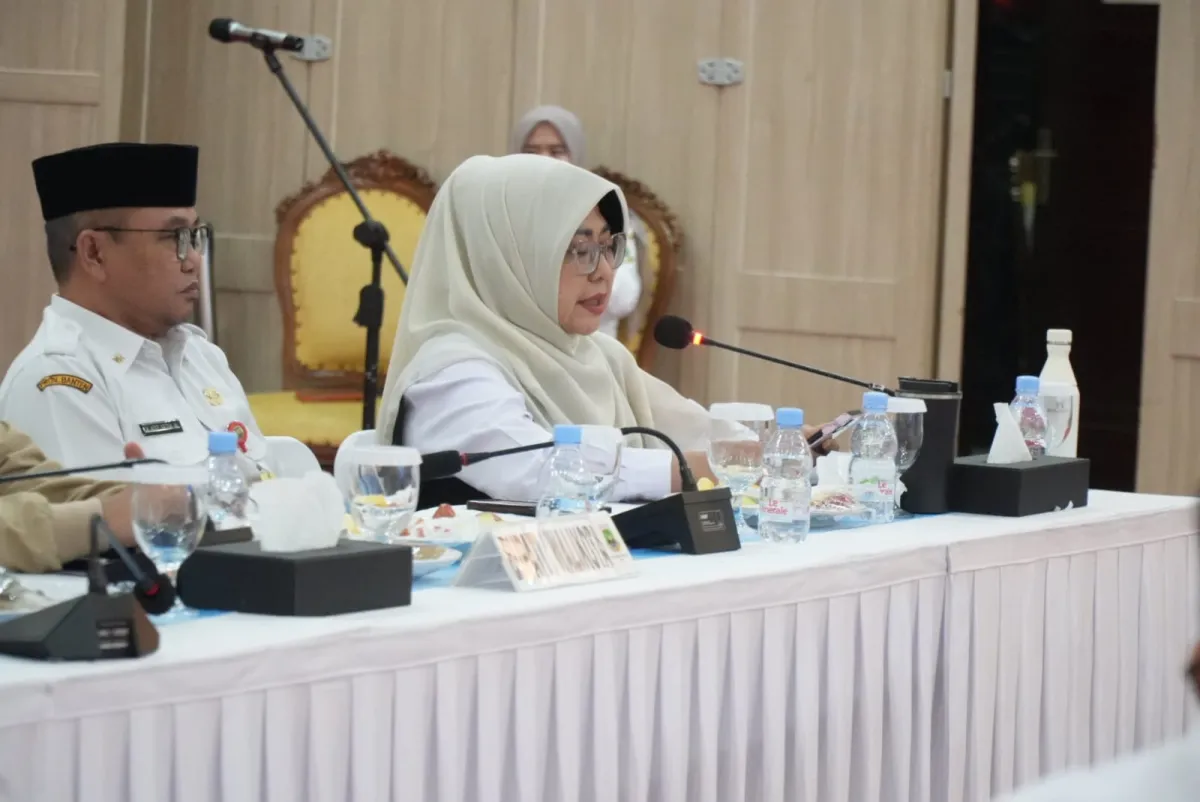 Bupati Pandeglang Ajukan 4 Usulan Strategis ke Komisi II DPR RI, Dorong Kawasan Industri hingga Optimalisasi Lahan Eks HGU