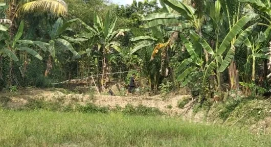 Krisis Air Bersih Melanda Kecamatan Patia Selama Satu Setengah Bulan, Warga Terpaksa Andalkan Sumber Air Jauh