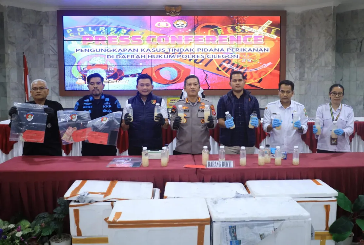 Sinergi TNI-Polri Gagalkan Penyelundupan 50 Ribu Benih Lobster di Dermaga Eksekutif Merak