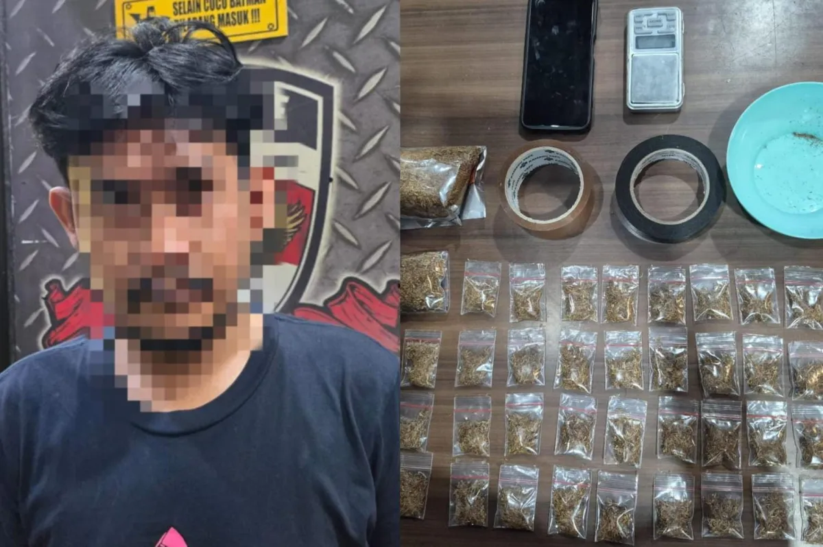 Polres Serang Ringkus Buruh Serabutan Pengedar Tembakau Sintetis, 43 Paket Siap Edar Disita dari Dus Sepatu