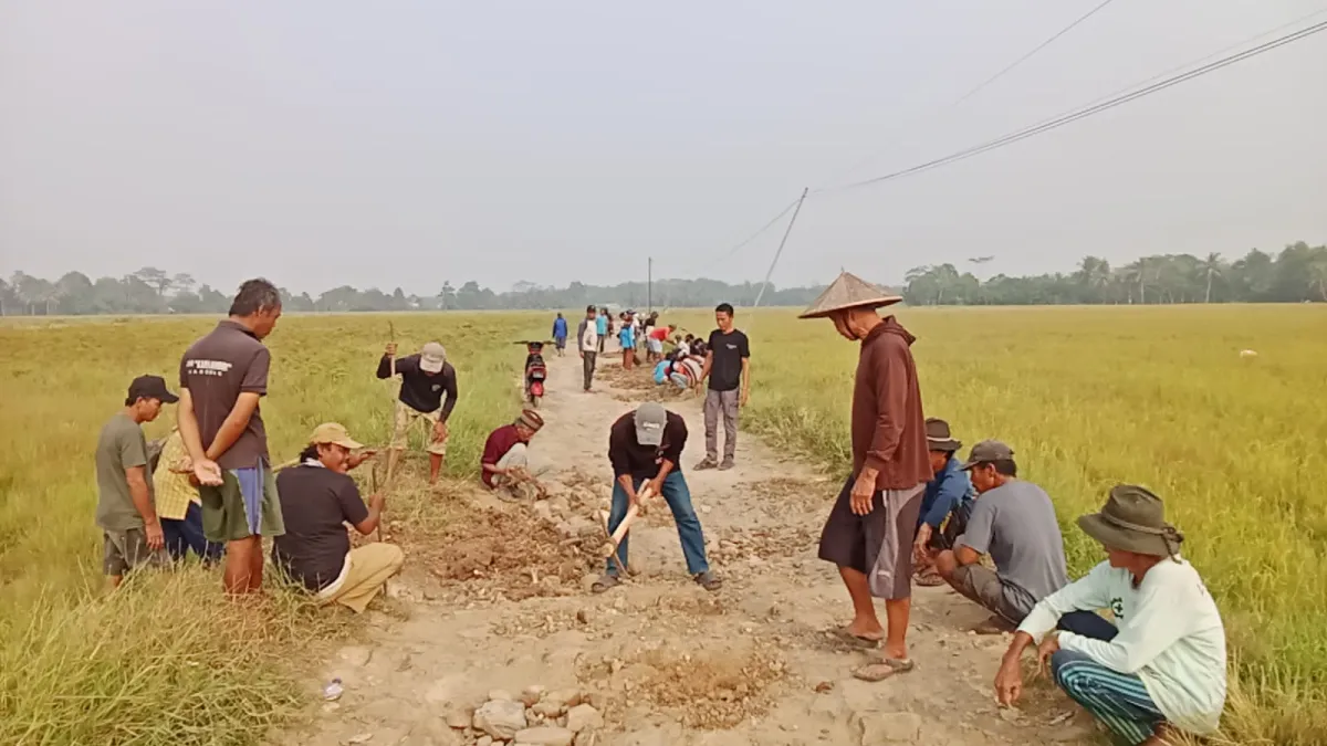 Kecewa Tak Kunjung Dibangun Pemprov dan Pemkab, Warga Desa Idaman Pandeglang Patungan Tenaga Perbaiki Jalan Rusak