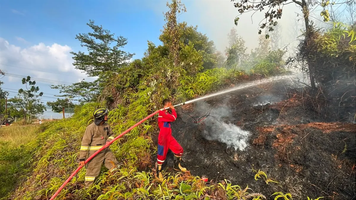 Polda Kepri dan Tim Gabungan Padamkan Karhutla 35 Hektare di Bukit Trans Barelang