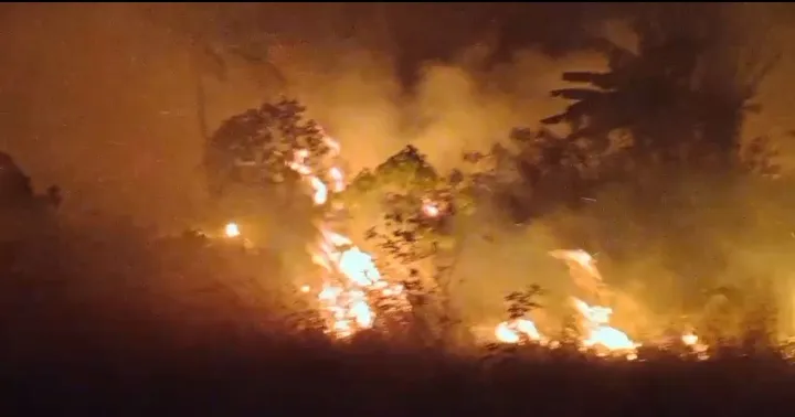 BREAKING NEWS: Kebakaran Hutan Hebat Landa Jalur Tanjung Lesung - Sumur Pandeglang Malam Ini, Warga Panik!