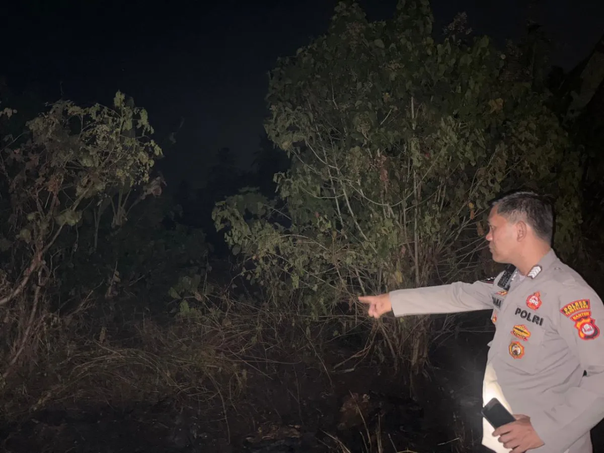 2 Hektare Lahan di Jalan Raya Cigeulis-Sumur Pandeglang Ludes Terbakar, Puntung Rokok Diduga Jadi Biang Kerok