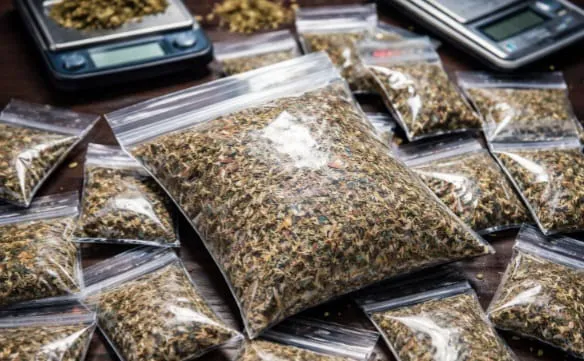 Polres Serang Ringkus Pengedar Tembakau Sintetis Beserta Barang Bukti