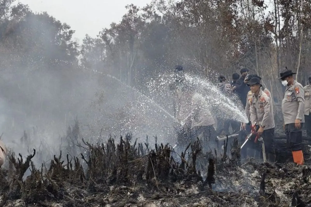 Karhutla TN Tanjung Puting Terkendala Kabut Asap Tebal dan Lahan Gambut