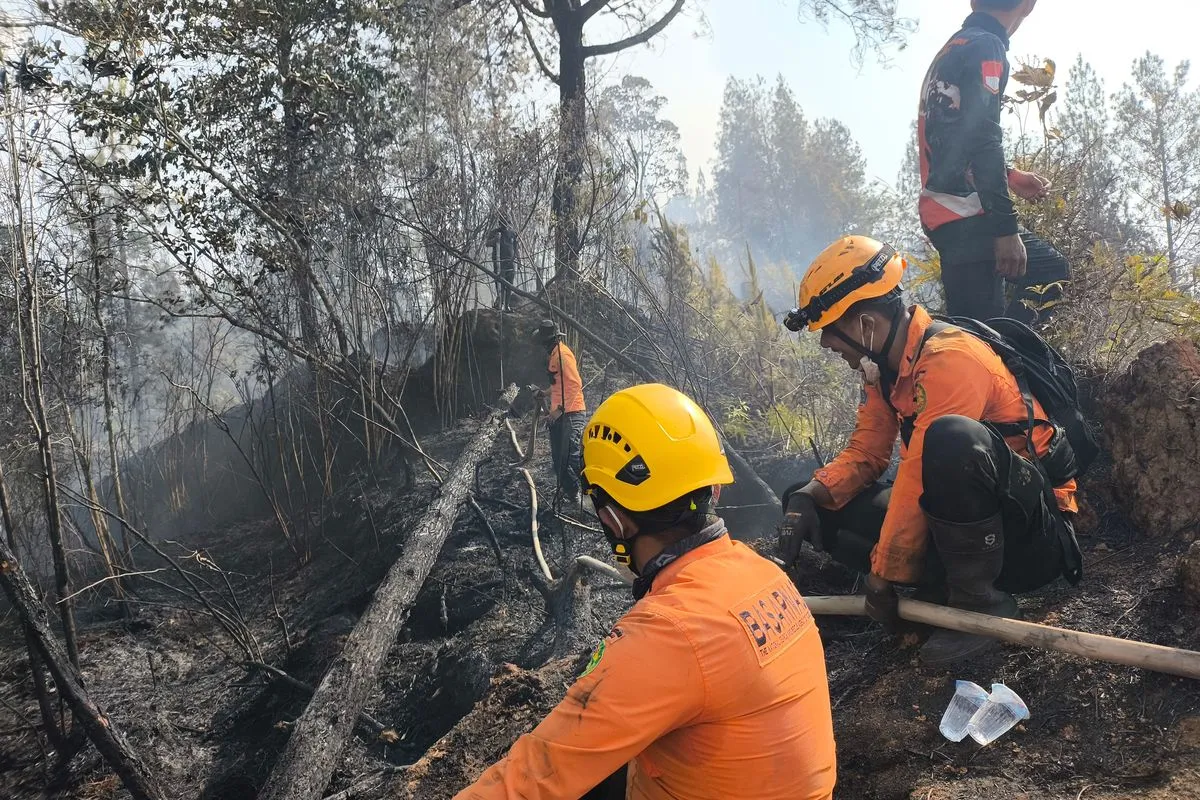Desak Kebijakan Tepat, Virdian Aurellio Hartono Minta Prabowo Subianto Berkantor di Lokasi Karhutla