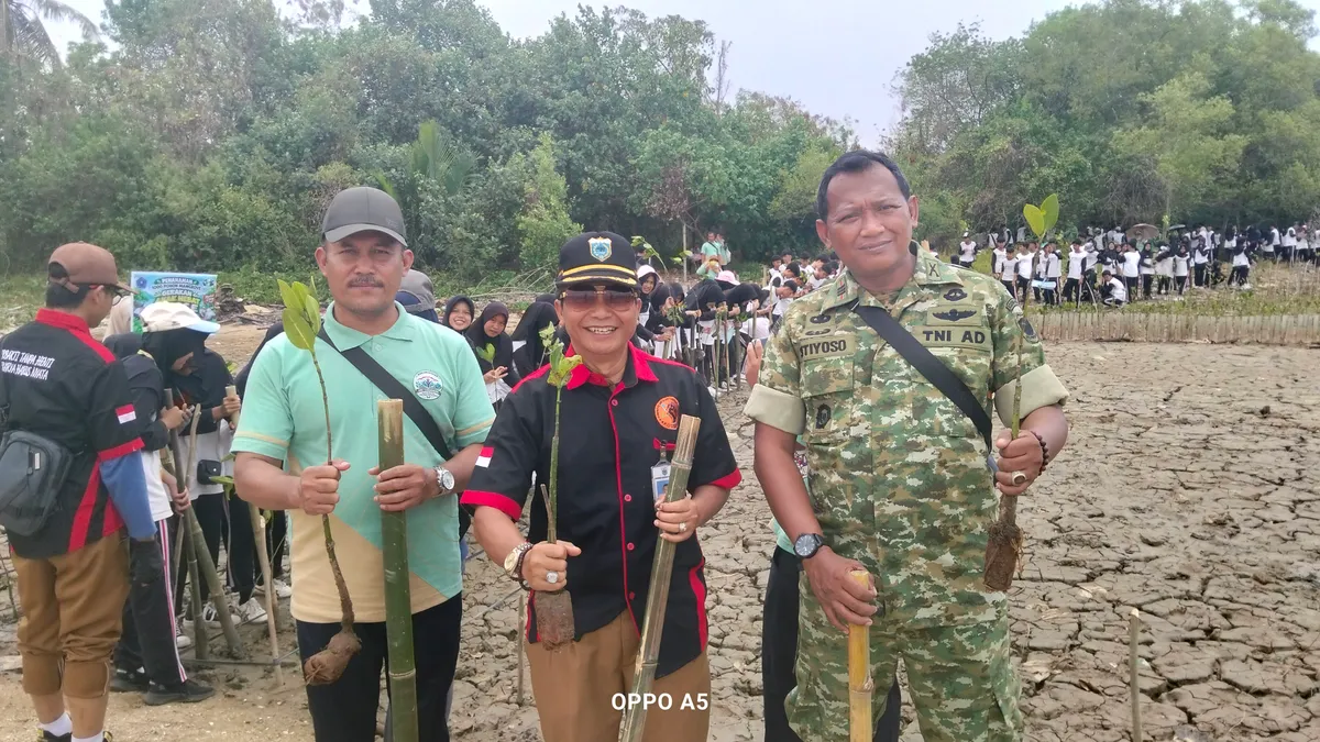 SMPN 1 Karang Tanjung Tanam 1000 Mangrove Cegah Abrasi di Pandeglang