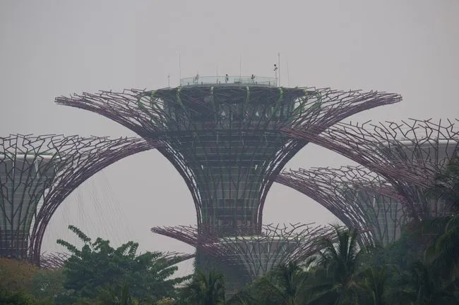 Respons Tegas Kemenhut Terkait Asap Karhutla Jelang F1 Singapura