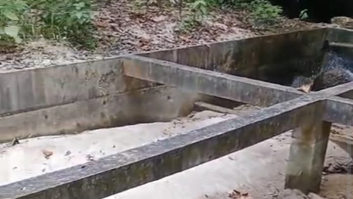 Kekeringan Panjang di Kabupaten Lingga: Warga Kesulitan Air Bersih Jelang Bulan Puasa