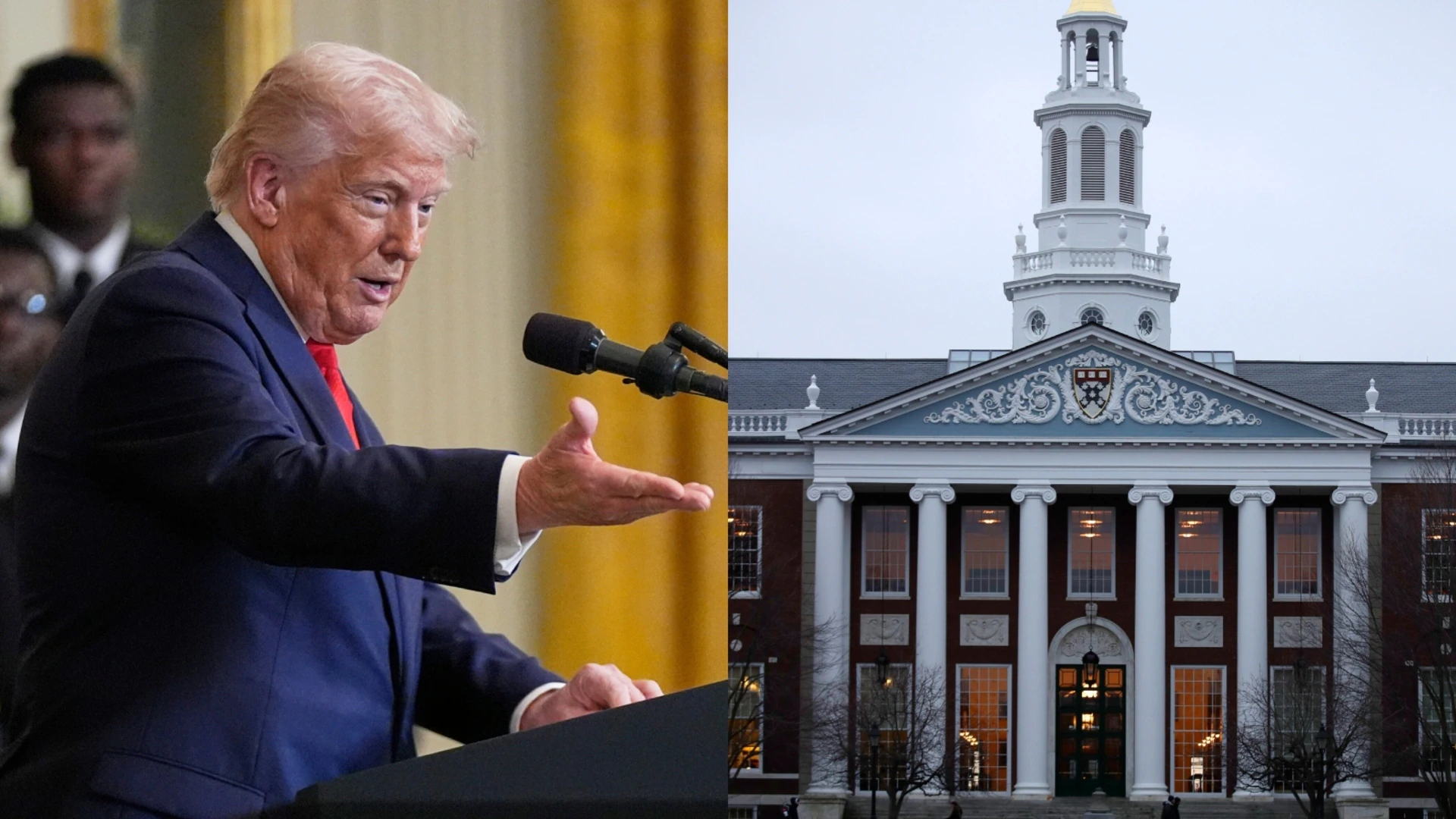 Harvard