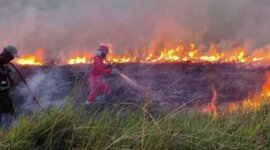 Keadaan Kebakaran Hutan dan Lahan (Karhutla) di Riau (CAKAPLAH.com)