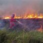Keadaan Kebakaran Hutan dan Lahan (Karhutla) di Riau (CAKAPLAH.com)