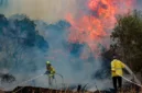 Petugas pemadam kebakaran berusaha keras menjinakkan api yang melalap area dekat Moshav Mesilat Zion pada 30 April 2025. (Foto/Noam Revkin Fenton/Flash90)