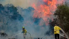 Petugas pemadam kebakaran berusaha keras menjinakkan api yang melalap area dekat Moshav Mesilat Zion pada 30 April 2025. (Foto/Noam Revkin Fenton/Flash90)