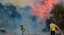 Petugas pemadam kebakaran berusaha keras menjinakkan api yang melalap area dekat Moshav Mesilat Zion pada 30 April 2025. (Foto/Noam Revkin Fenton/Flash90)