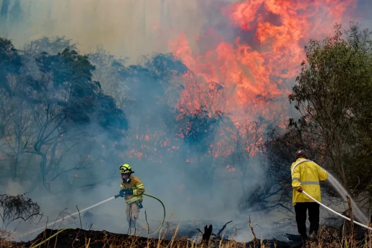 Petugas pemadam kebakaran berusaha keras menjinakkan api yang melalap area dekat Moshav Mesilat Zion pada 30 April 2025. (Foto/Noam Revkin Fenton/Flash90)