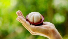 Buah Manggis