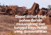 Oplus_0