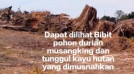 Oplus_0
