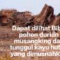 Oplus_0