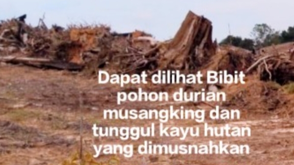 Oplus_0