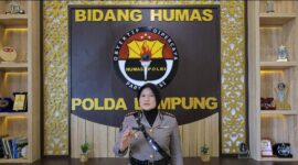 Oplus_131072