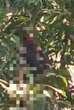 Warga Cilacap Geger, Yoga Ditemukan Tewas Gantung Diri