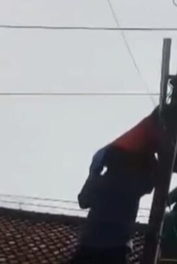 Tragis! Pegawai PLN Tewas Tersengat Listrik di Bumiayu, Keselamatan Kerja Kembali Disorot