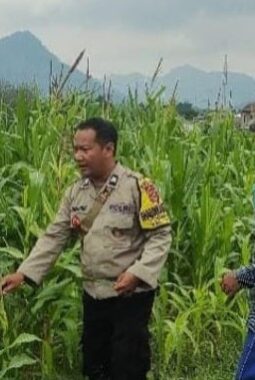 Bhabinkamtibmas Polsek Anyar Dukung Swasembada Pangan Nasional 2025 melalui Monitoring Lahan Jagung