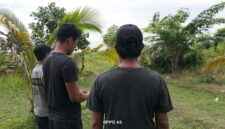oplus_131328